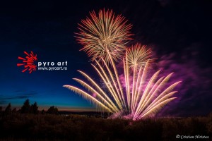 Artificii by Pyro Art